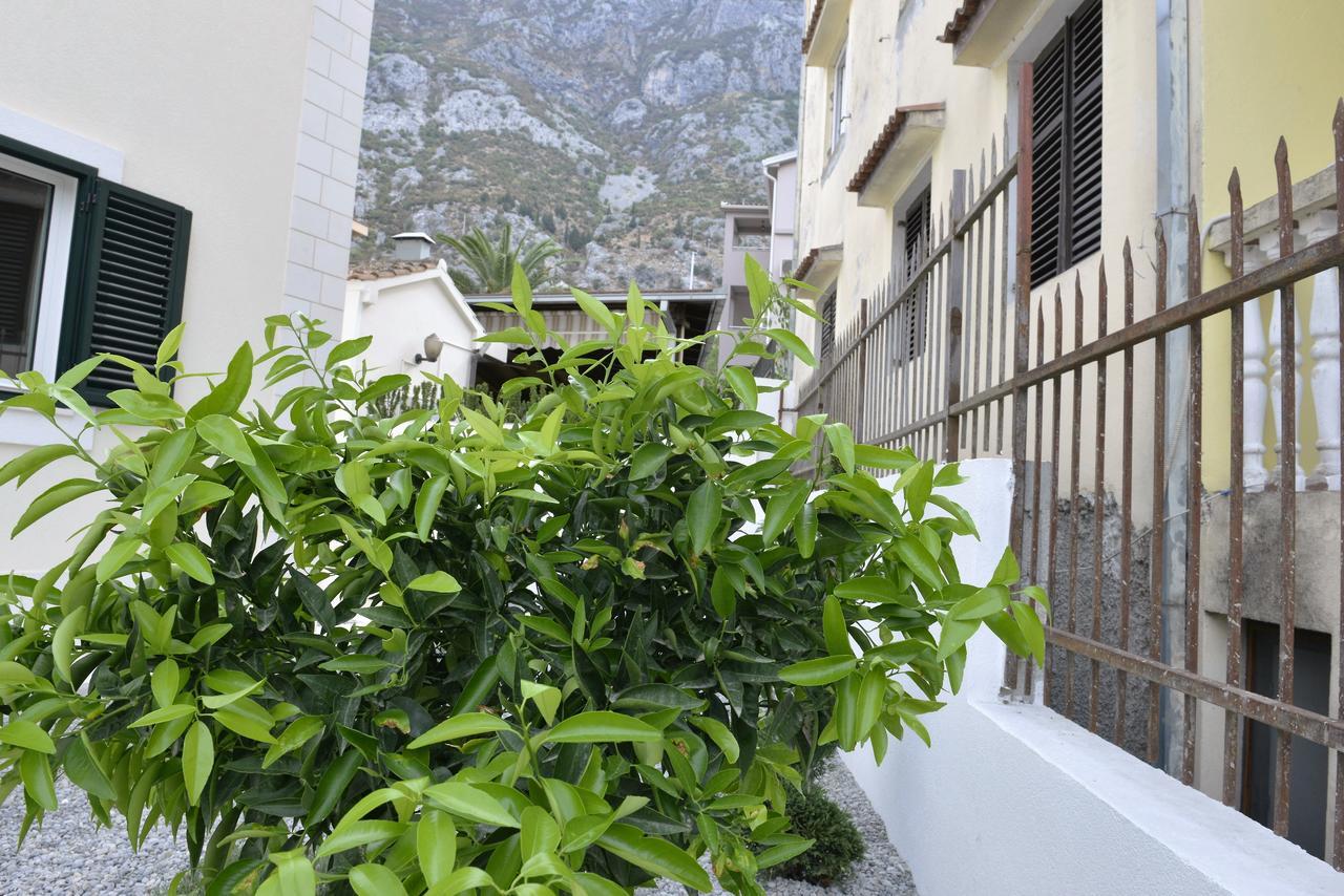 Melodia Del Mare Apartment Kotor Exterior photo